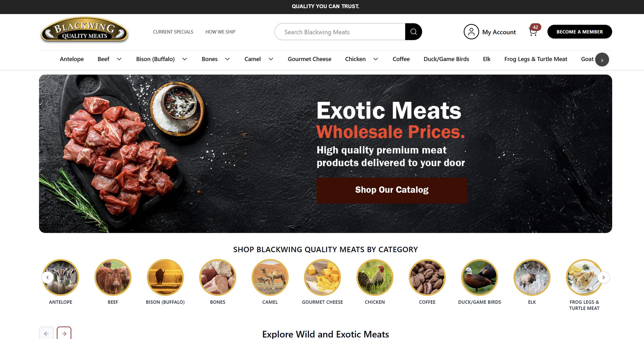 Chicago Illinois Client Magento storefront design